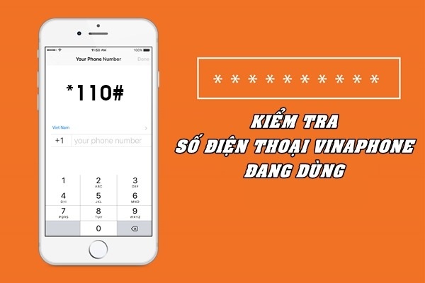 Cách kiểm tra số điện thoại Vinaphone